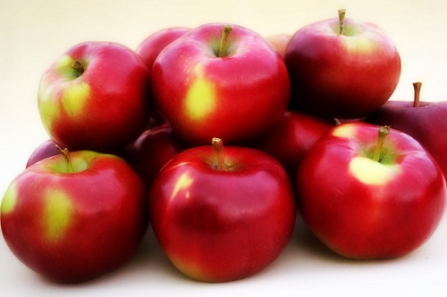 Саженцы яблони Энтерпрайз Интернет магазин ross-agro.ru