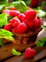 Малина Бабье лето