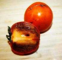 Саженцы хурмы Шоколадный (Зенжи-мару)