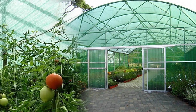 Затеняющая сетка