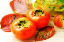 Саженцы хурмы Никитская Бордовая Интернет магазин ross-agro.ru