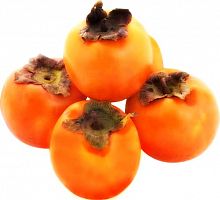 Саженцы хурмы Королёк (Хиакуме)